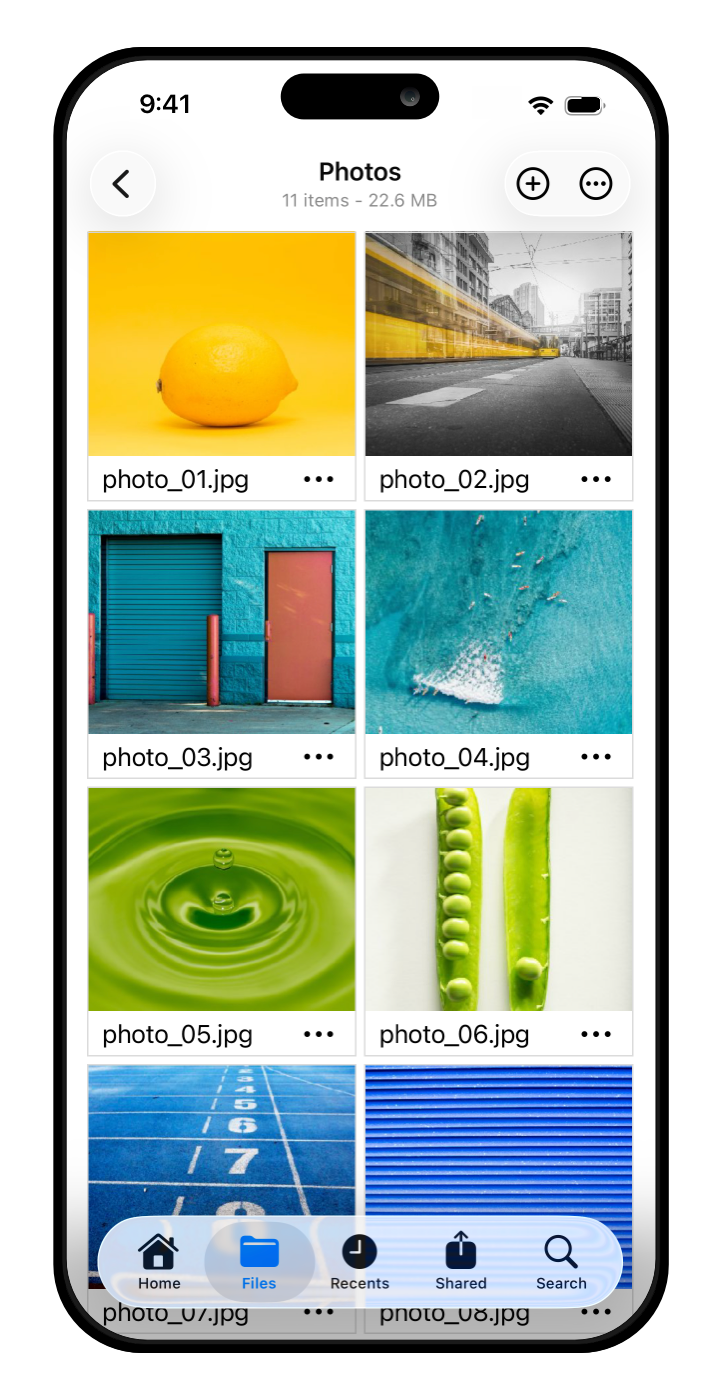 14_Koofr-mobile-app-for-iOS-Tiles-view-2