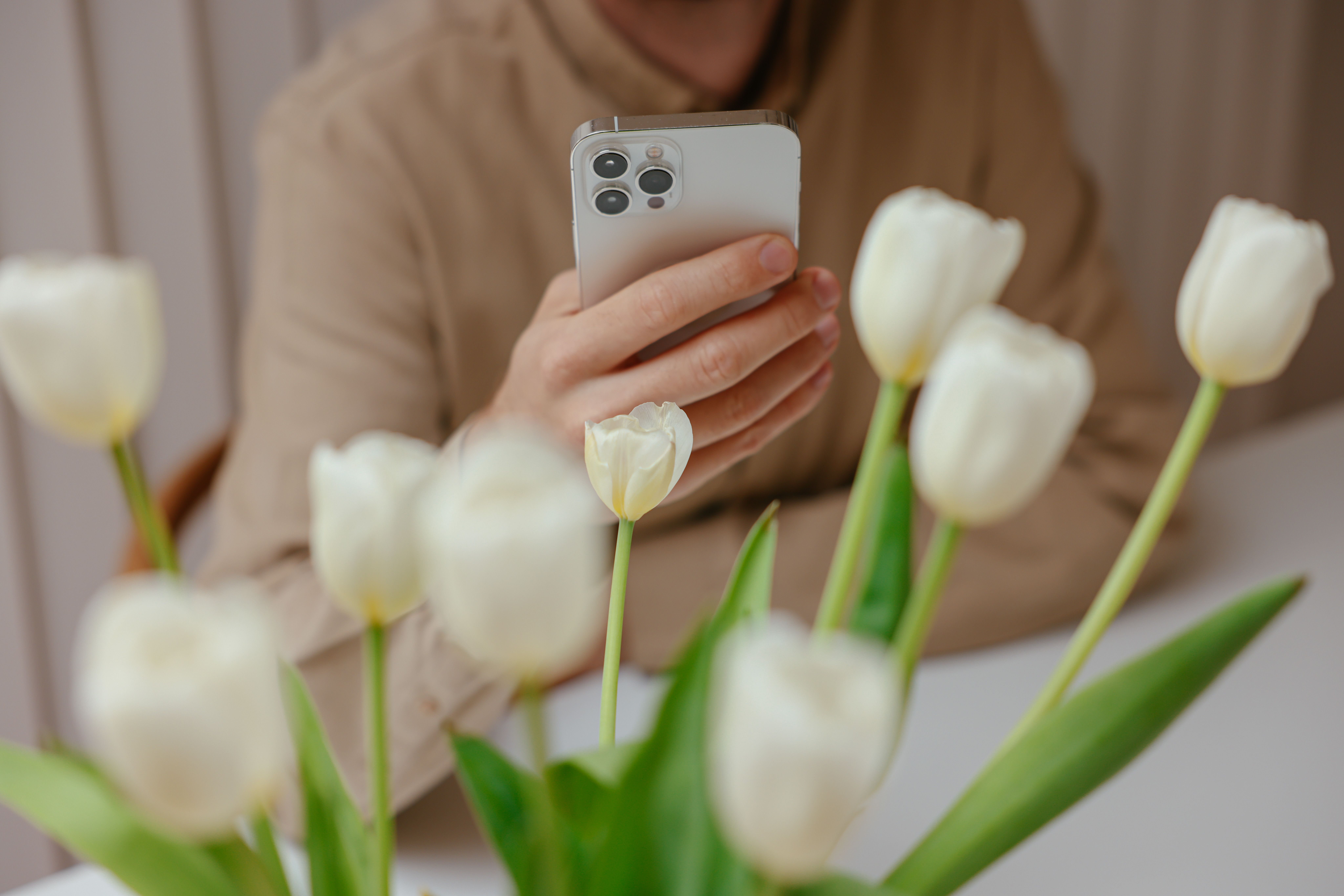 Oseba brska po telefonu iPhone